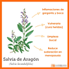 Salvia En Capsulas Medicinales 60 Caps La Botica Del Alma