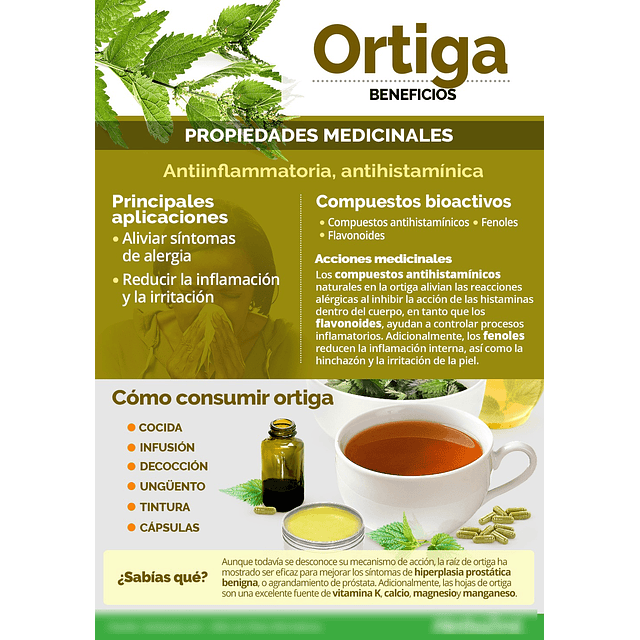 Ortiga En Capsulas Medicinales 60 Caps La Botica Del Alma