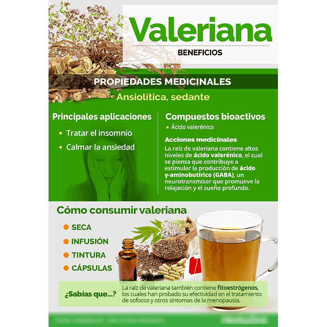 Valeriana En Capsulas Medicinales 60 Caps La Botica Del Alma
