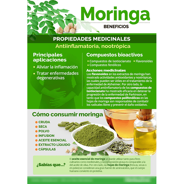 Moringa Plus En Capsulas 60 Antiflamatorio Antiox Anc