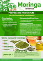 Moringa Plus En Capsulas 60 Antiflamatorio Antiox Anc - Miniatura 3