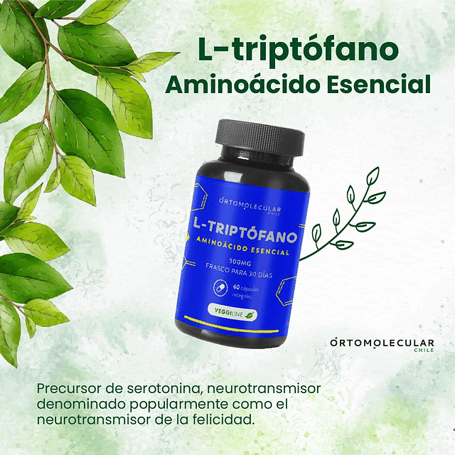 L Triptofano Con Glutamina 60 Caps 500 Mg Ortomolecular