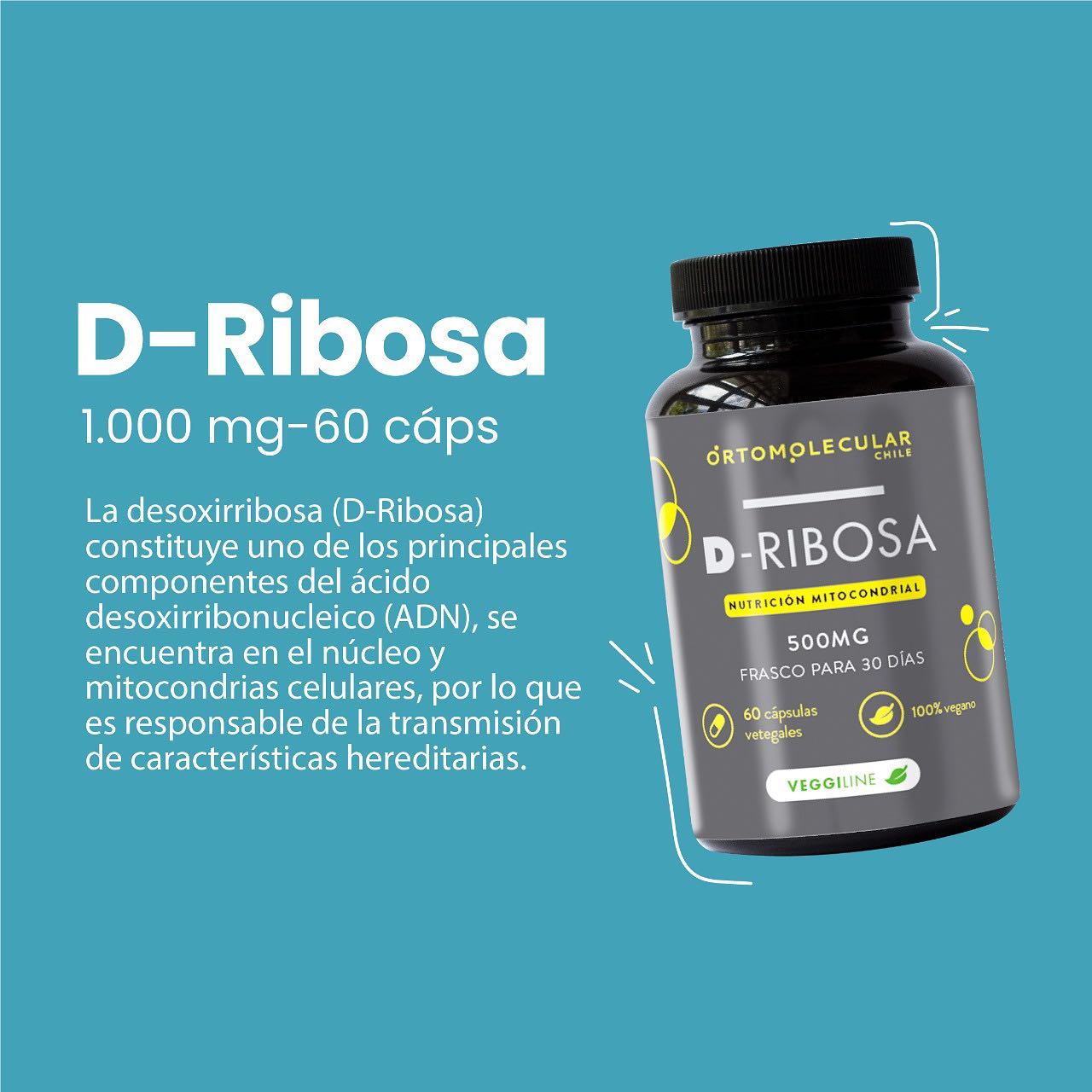 D Ribosa 1000 Mg 60 Caps Energia Animo Fatiga Ortomolecular 4