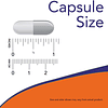 Now Tri-amino 120 Cap L-arginina L-ornitina L-lysina Usa