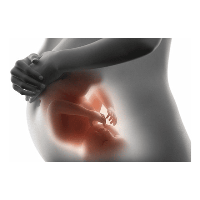 Biocare Metilfolato Liquido 15ml Nutrisorb Embarazo Anemia