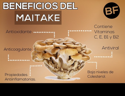 Fungi Pharma Extracto De Hongo Maitake Adaptogeno Tonifica 7