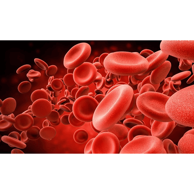 Biocare Iron Complex Complejo Hierro Anemia Globulos Rojos