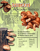 Fungi Pharma Pack Extracto De Hongo Cordyceps Y Shiitake - Miniatura 7