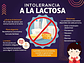 Biocare Lactasa Enzimas Digestiva Intolerancia Leche 60 Caps - Miniatura 4