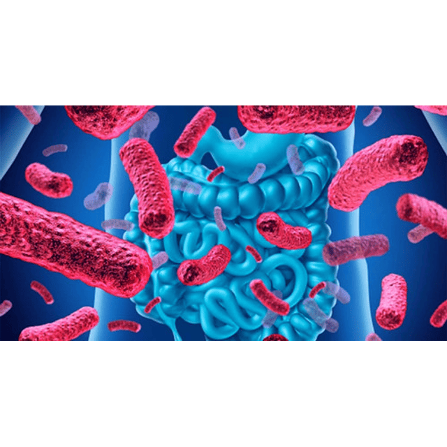 Biocare Mindlinx Probiotico Glutamina Alergia Alimentaria Sabor Sin Sabor