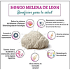 Fungi Pharma Extracto De Hongo Melena De Leon Adaptogeno