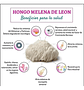 Fungi Pharma Extracto De Hongo Melena De Leon Adaptogeno - Miniatura 3