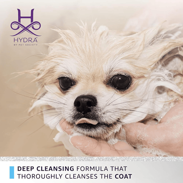 Shampoo Hydra Xtreme 5 Litros Limpieza Profunda Ultra Sucio