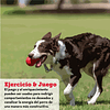 Juguete Kong Classic Senior Para Mascotas Perros Talla M Color Morado