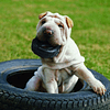 Juguete Perro Mascota Kong Llanta Grande / Tires Large 