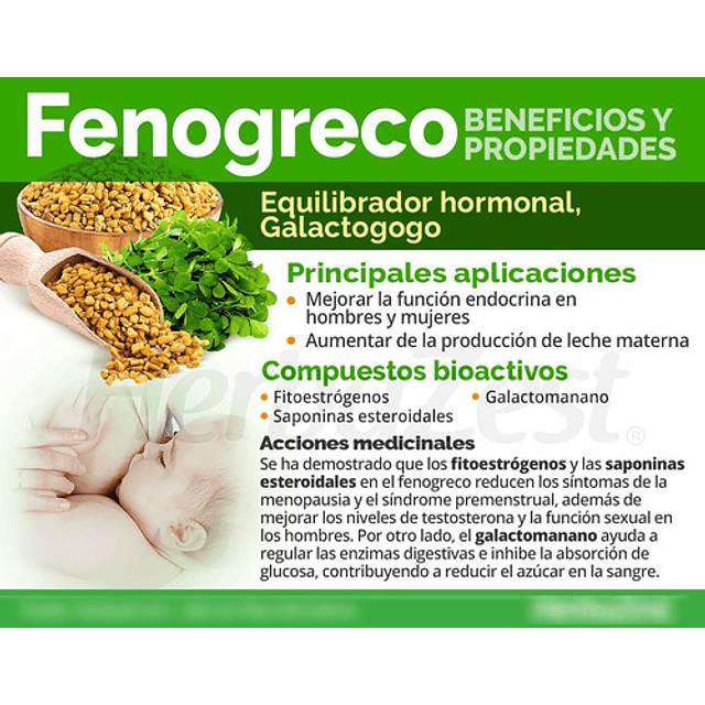 Lp Fenogreco 60 Caps Estimulante Apetito Digestion 500 Mg