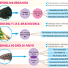 Spinu Chia Spirulina Chia Inulina 60 Caps Coadyuvante Dieta