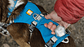 Ruffwear Flagline Harness Arnes Para Perros S M L Modelos - Miniatura 10