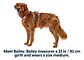 Ruffwear Flagline Harness Arnes Para Perros S M L Modelos - Miniatura 14