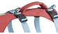 Ruffwear Flagline Harness Arnes Para Perros S M L Modelos - Miniatura 19