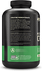 On Creatina Micronizada Monohidratada 300gr 60 Servicios - Miniatura 4