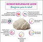 Fungi Pharma Pack Extracto De Hongo Melena De Leon Y Reishi - Miniatura 6