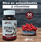 Uriact Plus Infecciones Urinarias 90 Caps Fnl - Miniatura 4