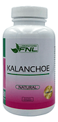 Fnl Kalanchoe 1000 Mg 60 Caps Inmuno  - Miniatura 1