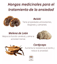 Keho Fungi Hongos Concentrados Reishi Melena Cordyceps 30ml - Miniatura 2