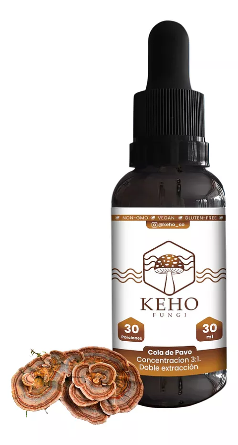 Keho Fungi Hongos Concentrados Reishi Melena Cordyceps 30ml