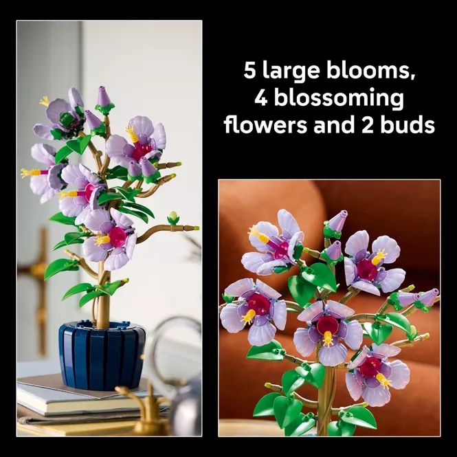 Lego Botanicals Flor de Hibisco 660pzs 18+años 4