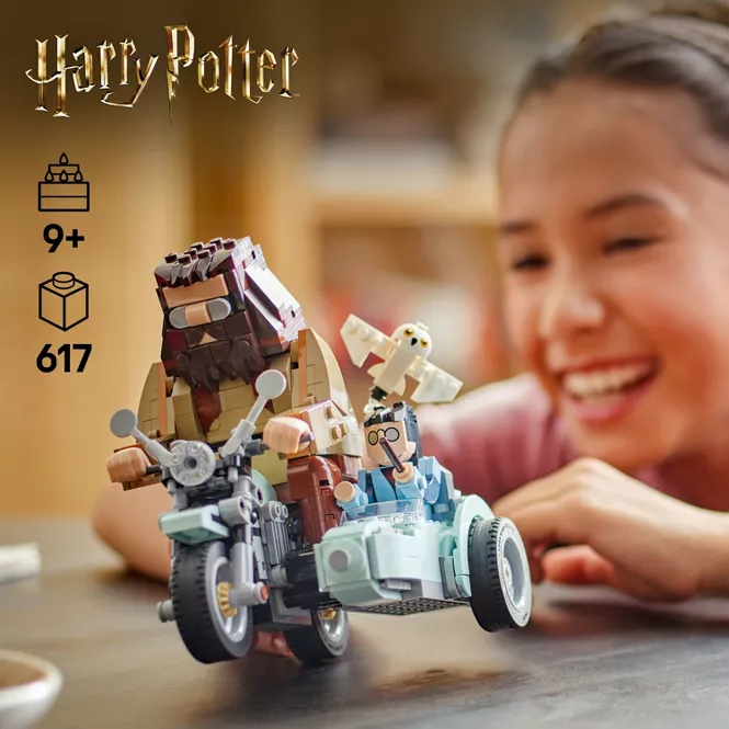 Lego Harry Potter: Viaje en Moto de Hagrid 617pzs 9+años 2