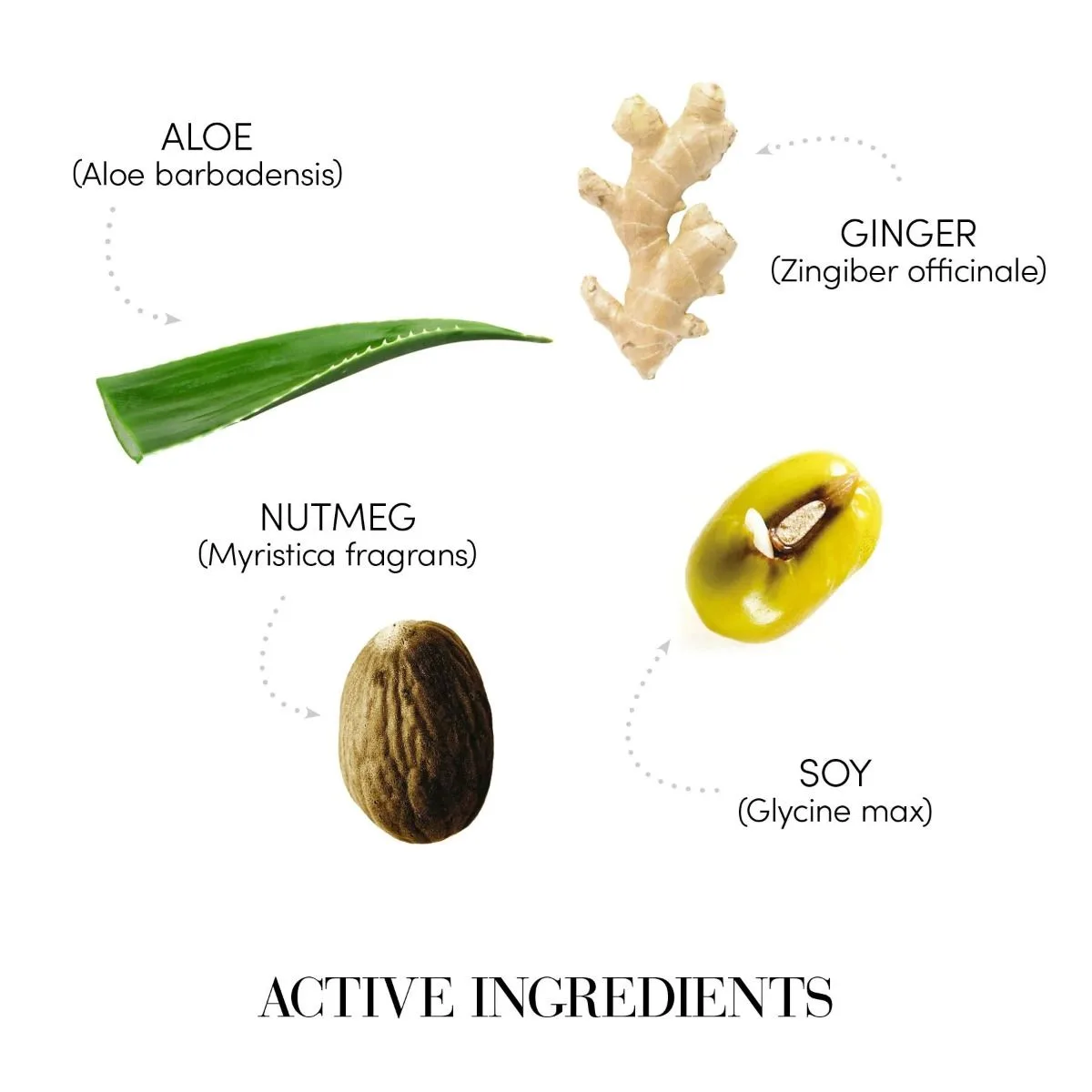 Medavita Requilibre Caja Ampollas Locion Sebo Equilibrante 12unid*6ml 7