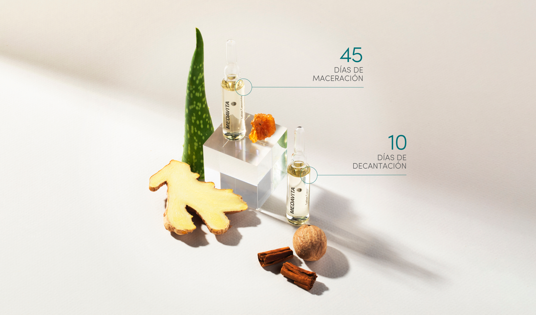 Medavita Concentree Caja Ampollas Locion Anticaida 13unid*6ml 4