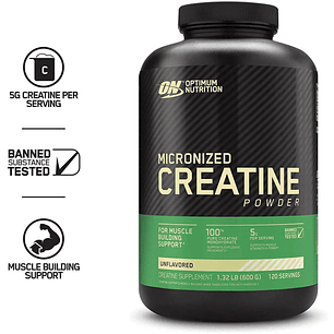 Optimum Nutrition Creatina Monohidratada Micronizada X 600g