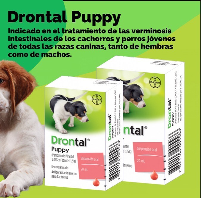 Drontal Puppy Desparasitante Interno Suspensión Oral 20 Ml Blanco 3