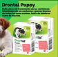 Drontal Puppy 20ml Cachorros Elanco - Miniatura 3