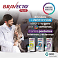 Bravecto Plus Gatos 2,8 A 6,25kg Antiparasitario  - Miniatura 3