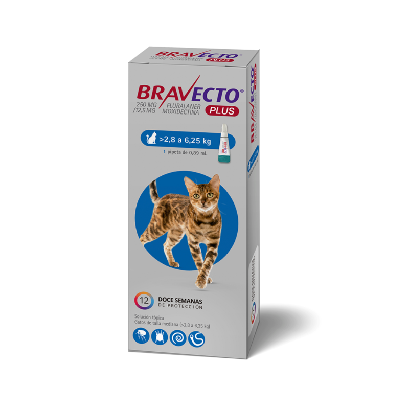 Bravecto Plus Gatos 2,8 A 6,25kg Antiparasitario  1