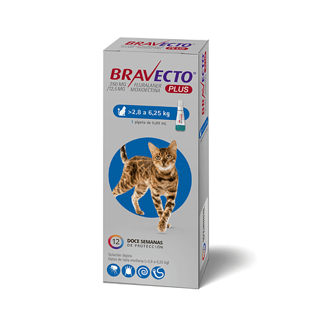 Bravecto Plus Gatos 2,8 A 6,25kg Antiparasitario 
