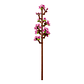 Lego® Botanicals Flores De Cerezo 430 Piezas 430 - Miniatura 4