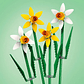 Bloques Extended Line Narcisos 40747 Cantidad De Piezas 216 3+ Lego 216 - Miniatura 4