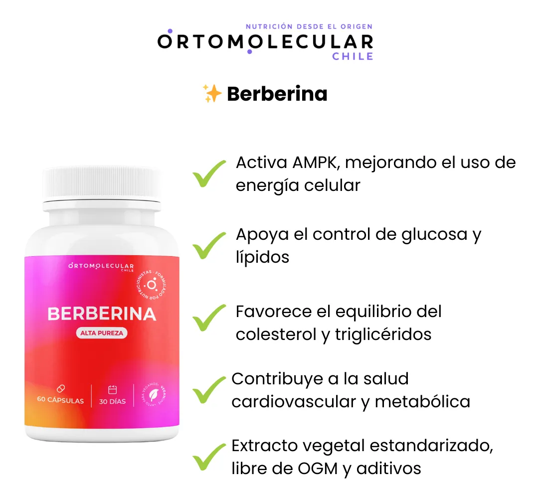 Berberina 500mg x Porción Alta Pureza 60 Capsulas Ortomolecular 3
