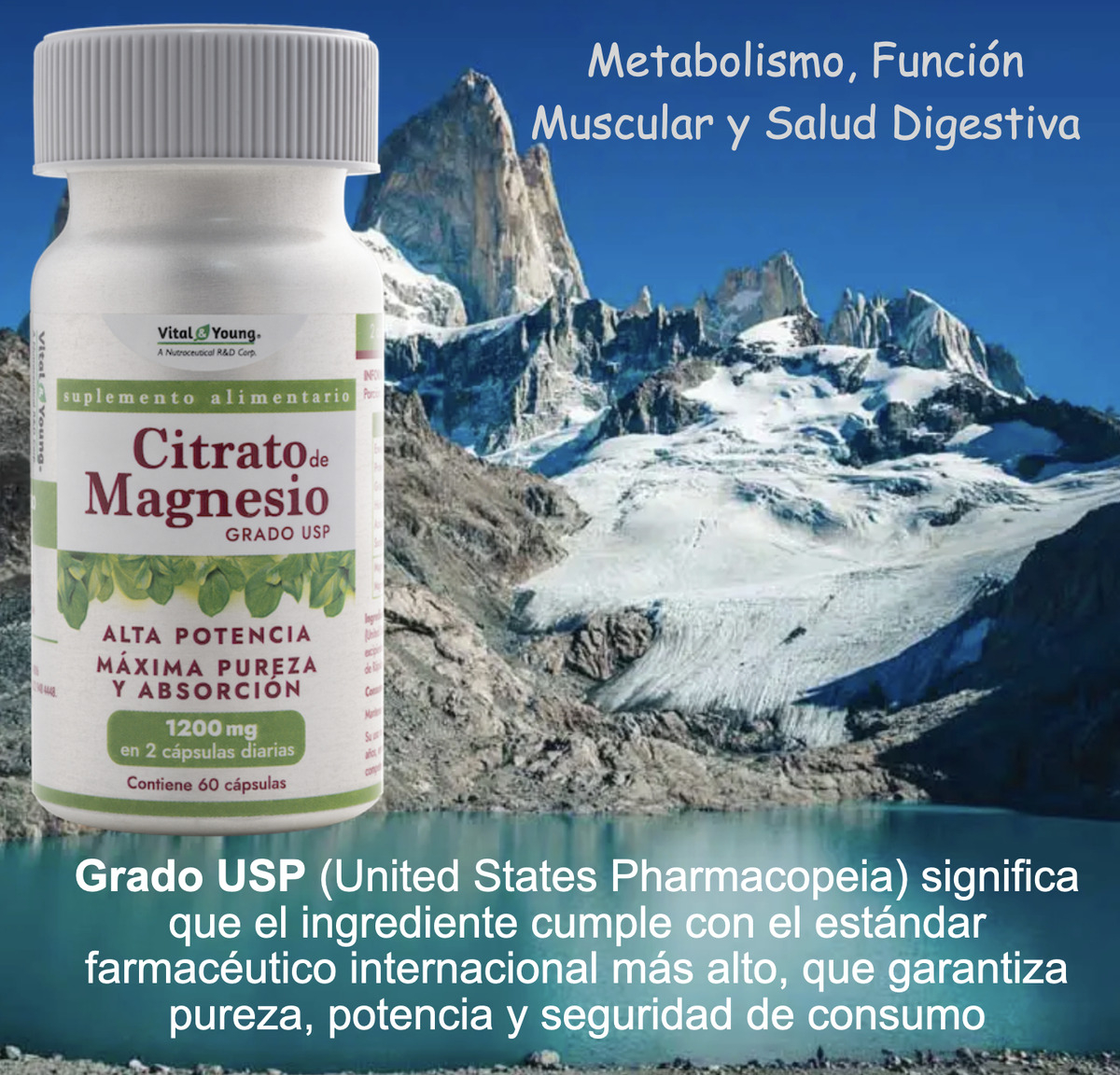 Citrato Magnesio Usp 1200mg 60caps Vital & Young 2