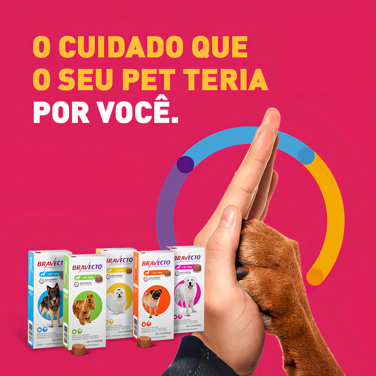 Bravecto Antipulgas y Garrapatas para Mascotas 4.5 a 10Kg 7