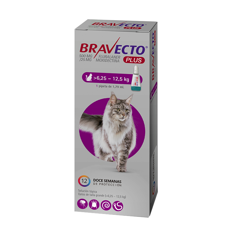 Bravecto Plus Gatos de 6.25 a 12.5kg Antiparasitario Pipeta 1.79ml 1