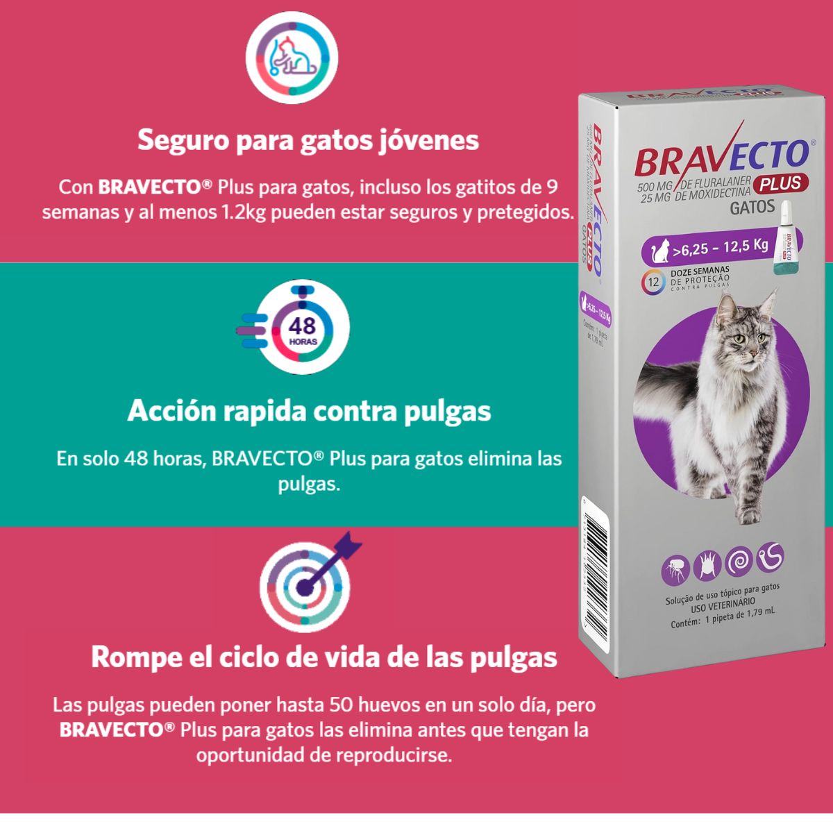 Bravecto Plus Gatos de 6.25 a 12.5kg Antiparasitario Pipeta 1.79ml 4