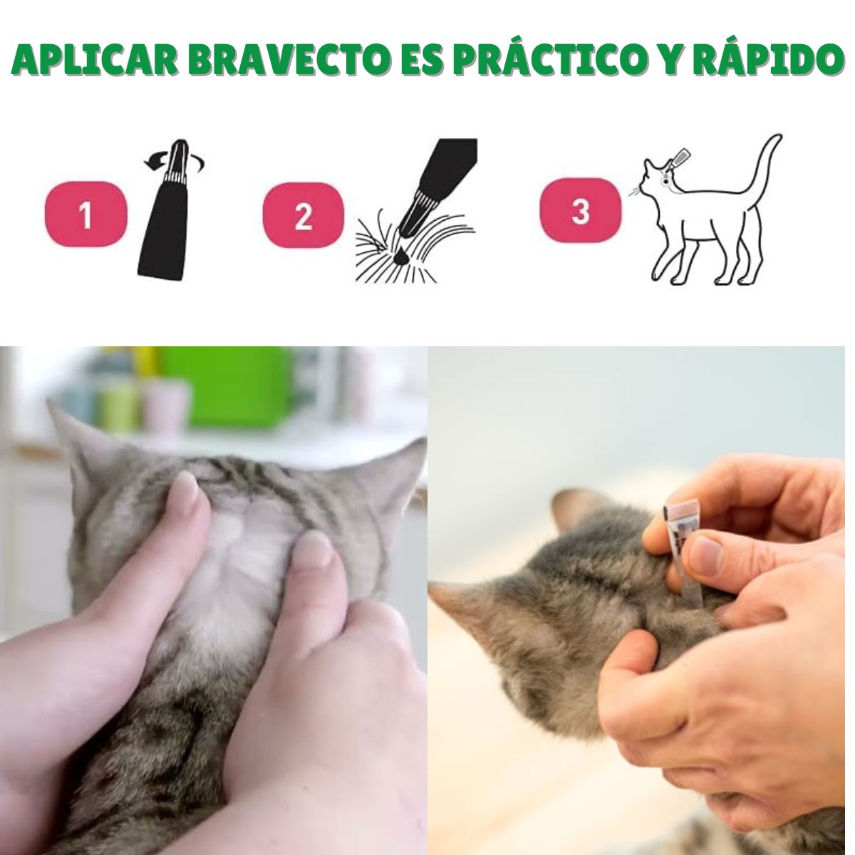 Bravecto Plus Gatos de 6.25 a 12.5kg Antiparasitario Pipeta 1.79ml 8