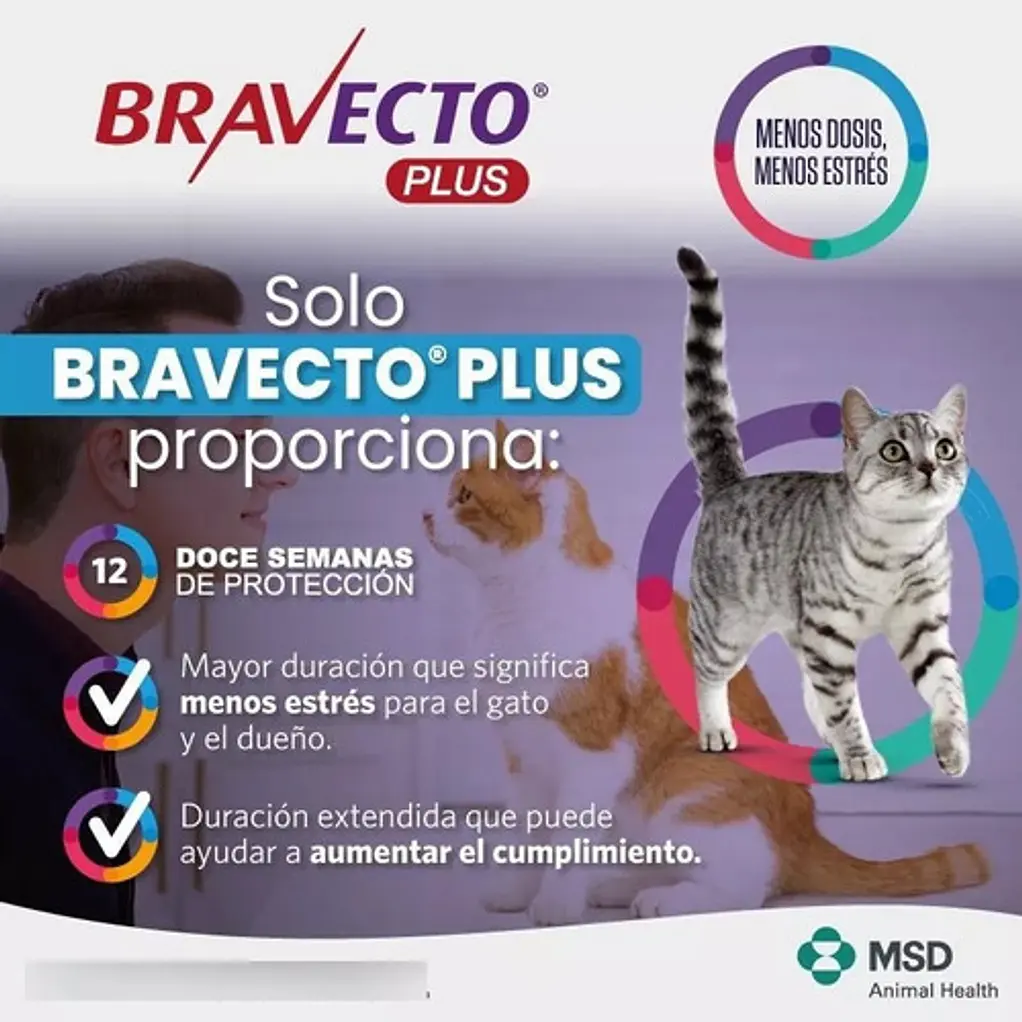 Bravecto Plus Gatos de 6.25 a 12.5kg Antiparasitario Pipeta 1.79ml 9