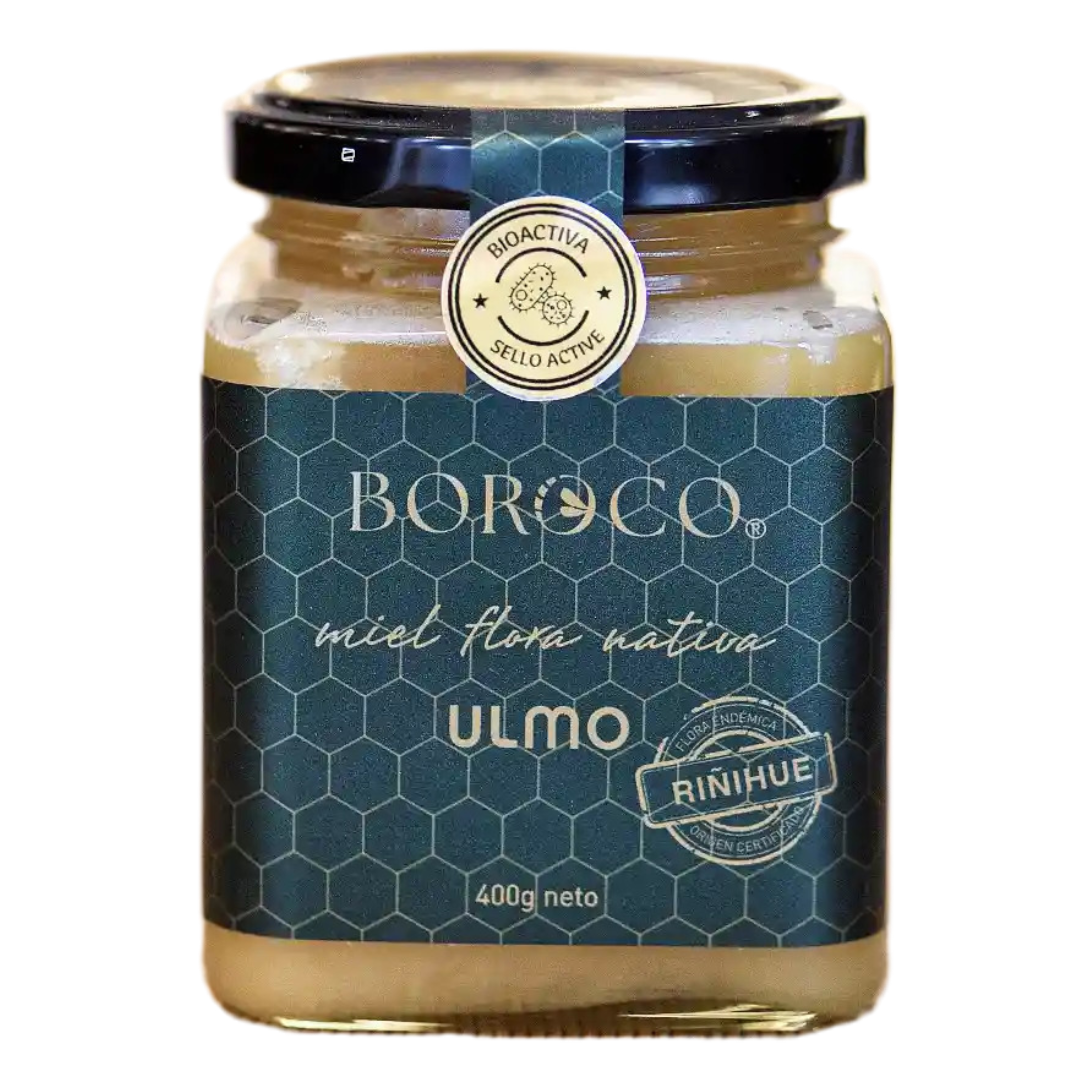 Boroco Miel Flora Nativa Endemica Ulmo 400 Grs Riñihue 1